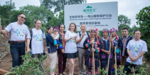 植物医生护住那片净土的样子，真的太有魅力！